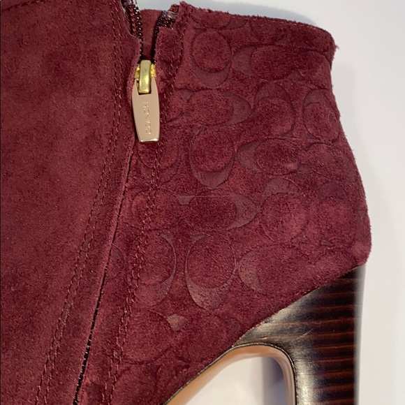 Coach - Picture 4 of 8